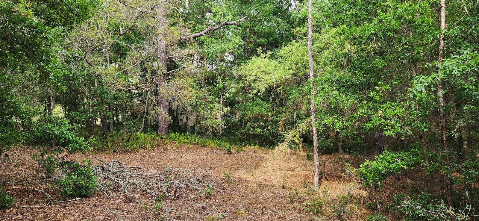 Tbd Sw 98th Pl Property Photo 14