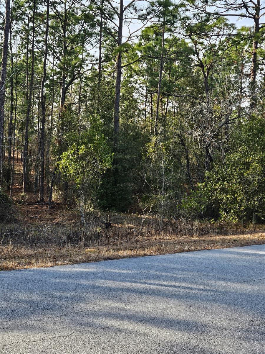 Sw Admiral Landing Dr. Property Photo 2