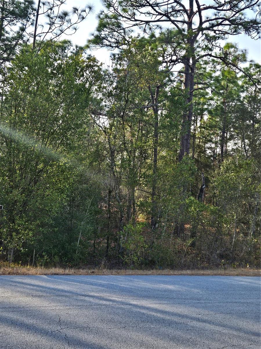 Sw Admiral Landing Dr. Property Photo 3