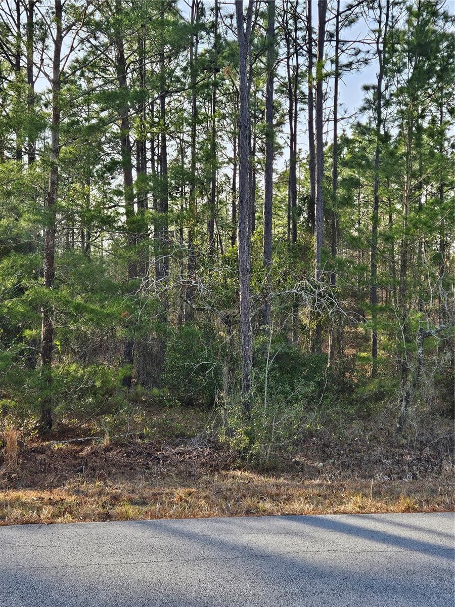 Sw Admiral Landing Dr. Property Photo 4