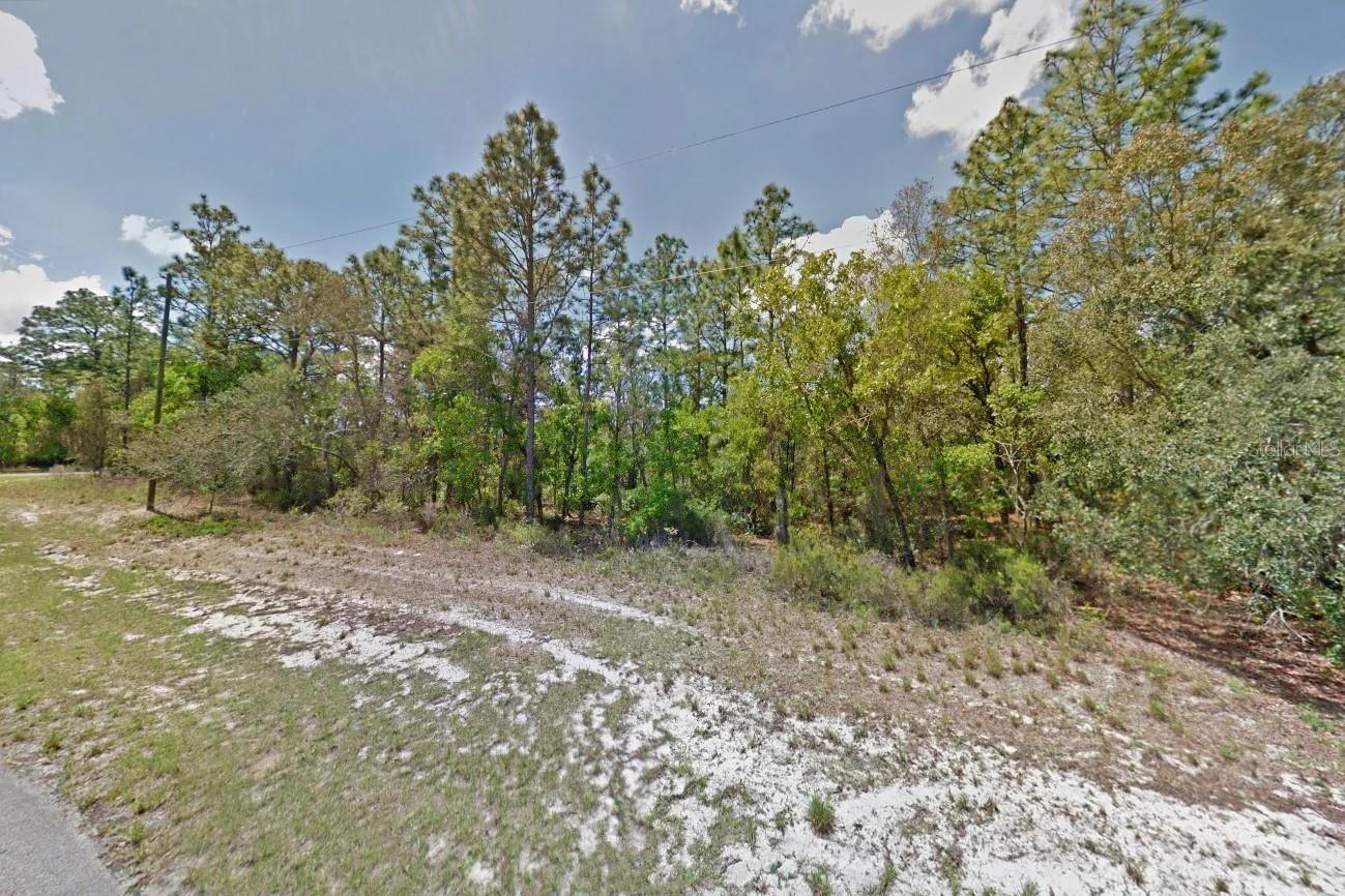000 Marion Oaks Pass Property Photo 3