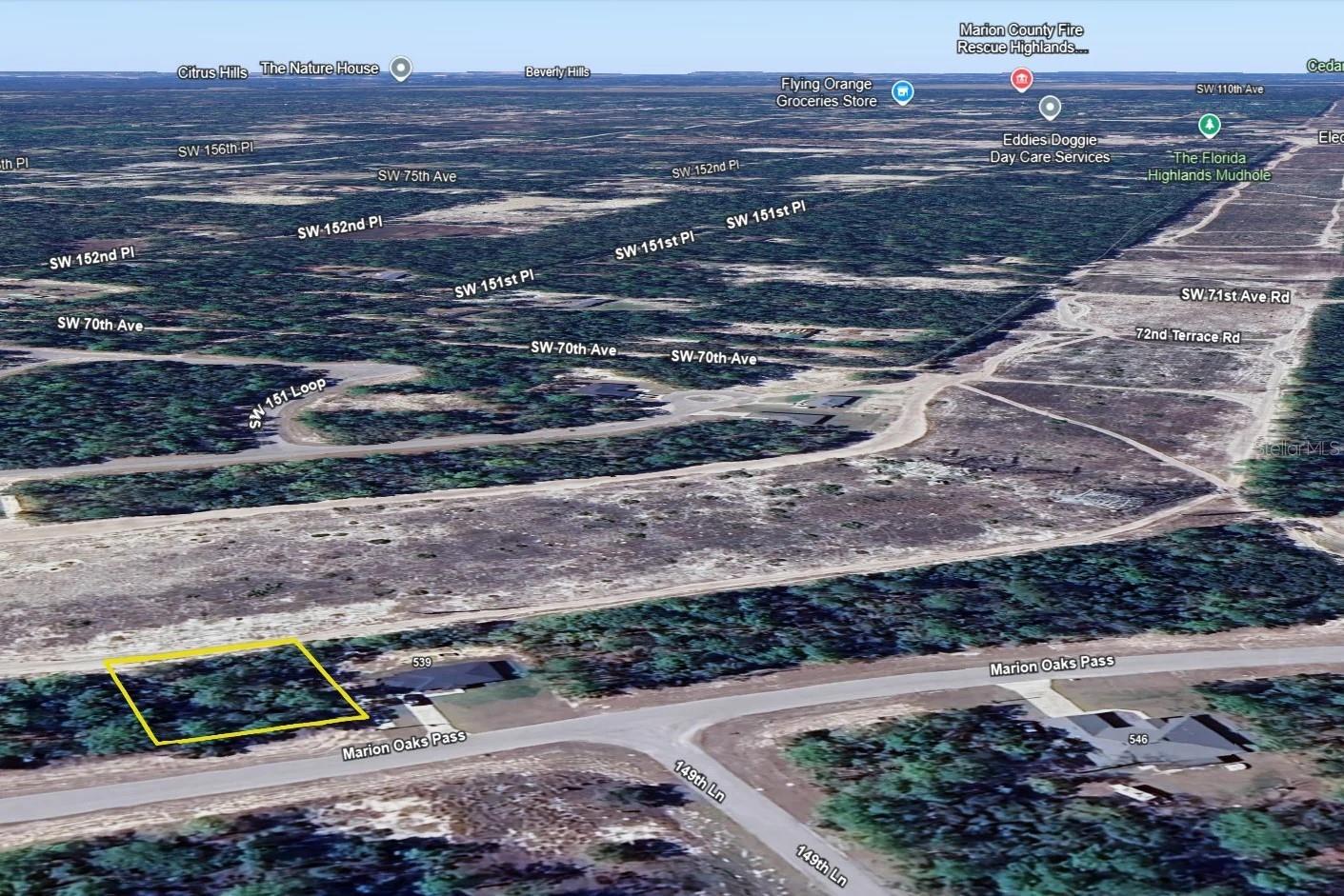 000 Marion Oaks Pass Property Photo 12