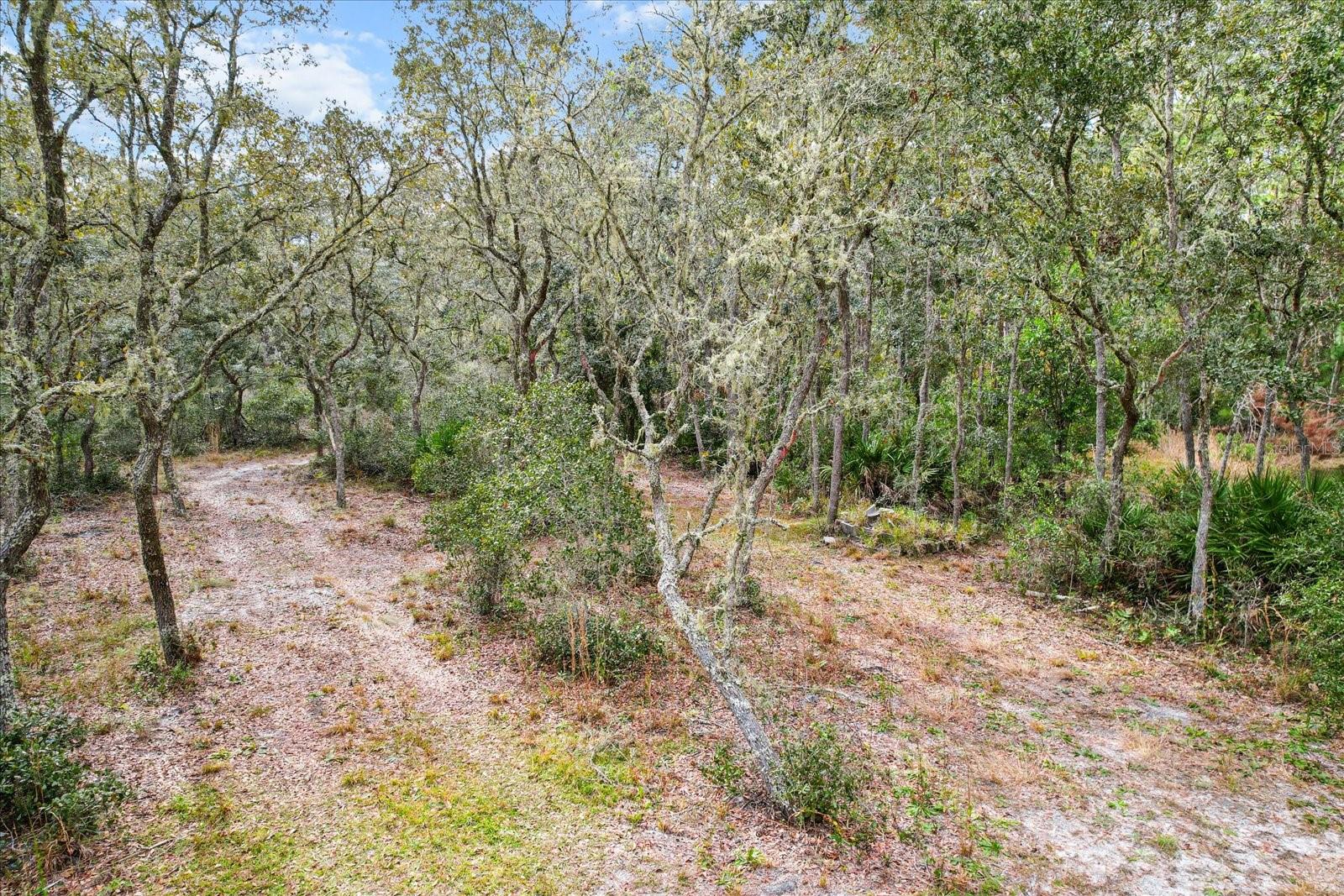 5408 S Benton Ter Property Photo 4