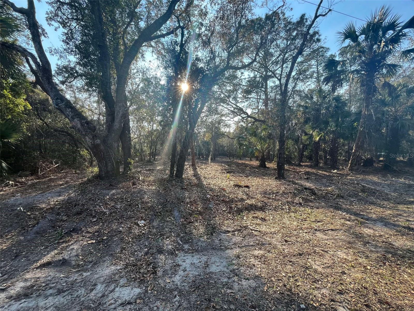 9022 N Cacalia Dr Property Photo 1