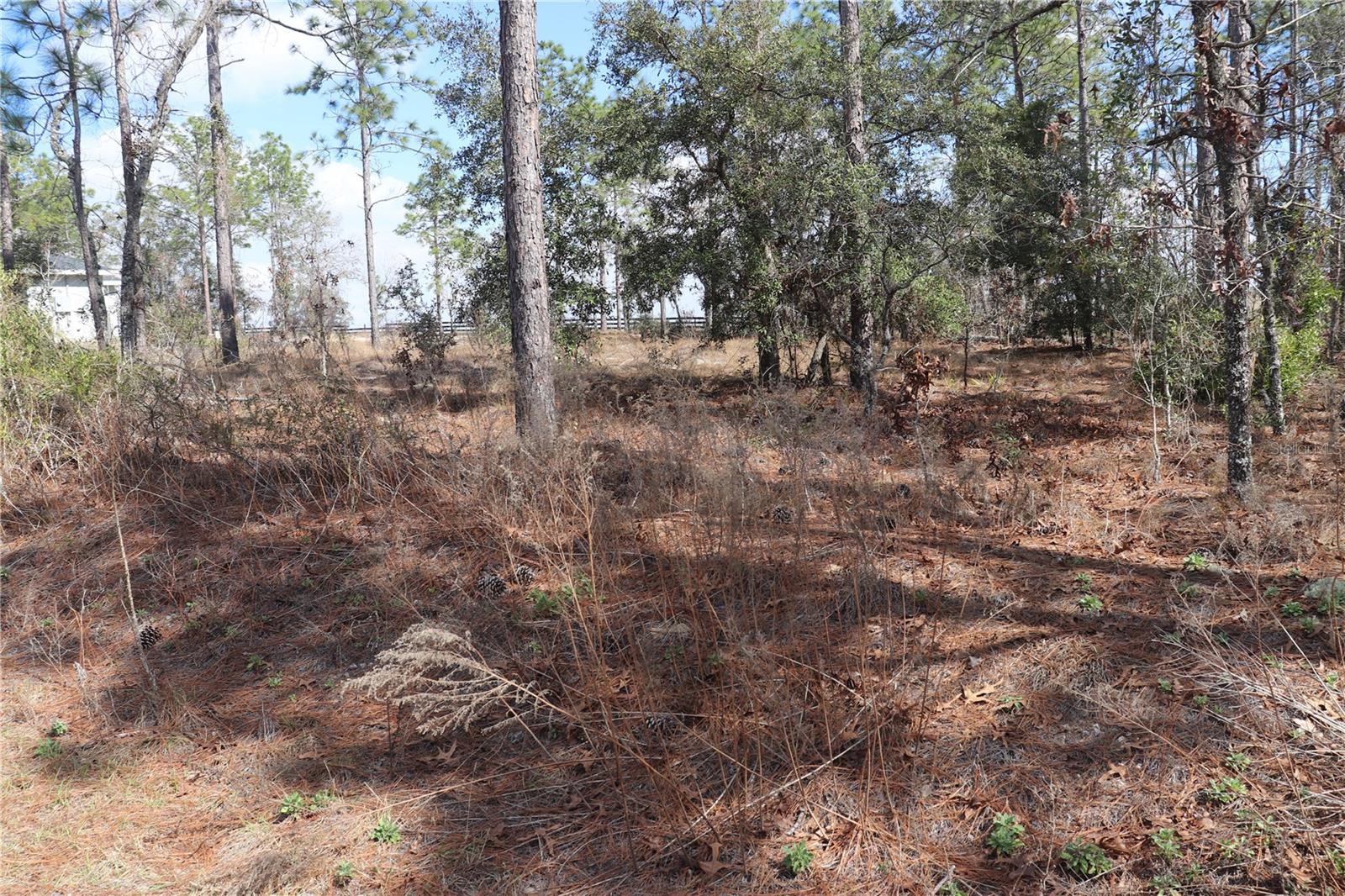 2251 Nw Buena Vista Rd Property Photo 3