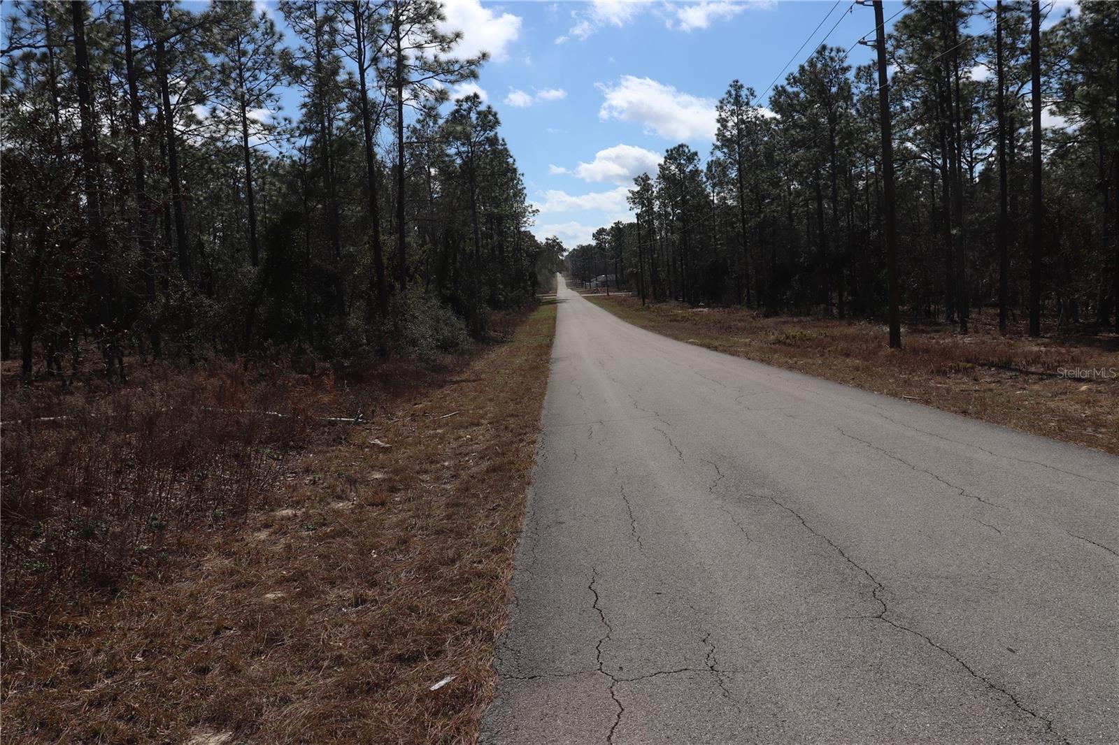 2251 Nw Buena Vista Rd Property Photo 5
