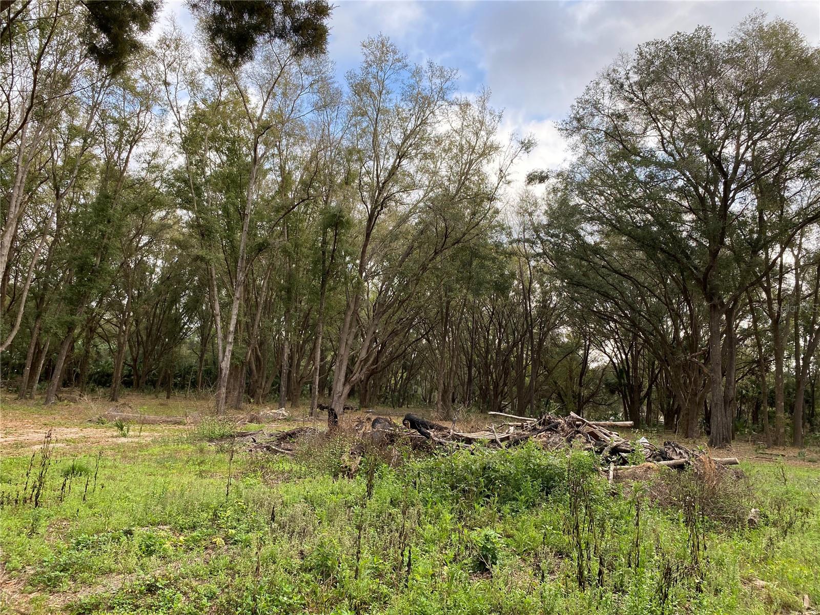 19411 N Us 301 Property Photo