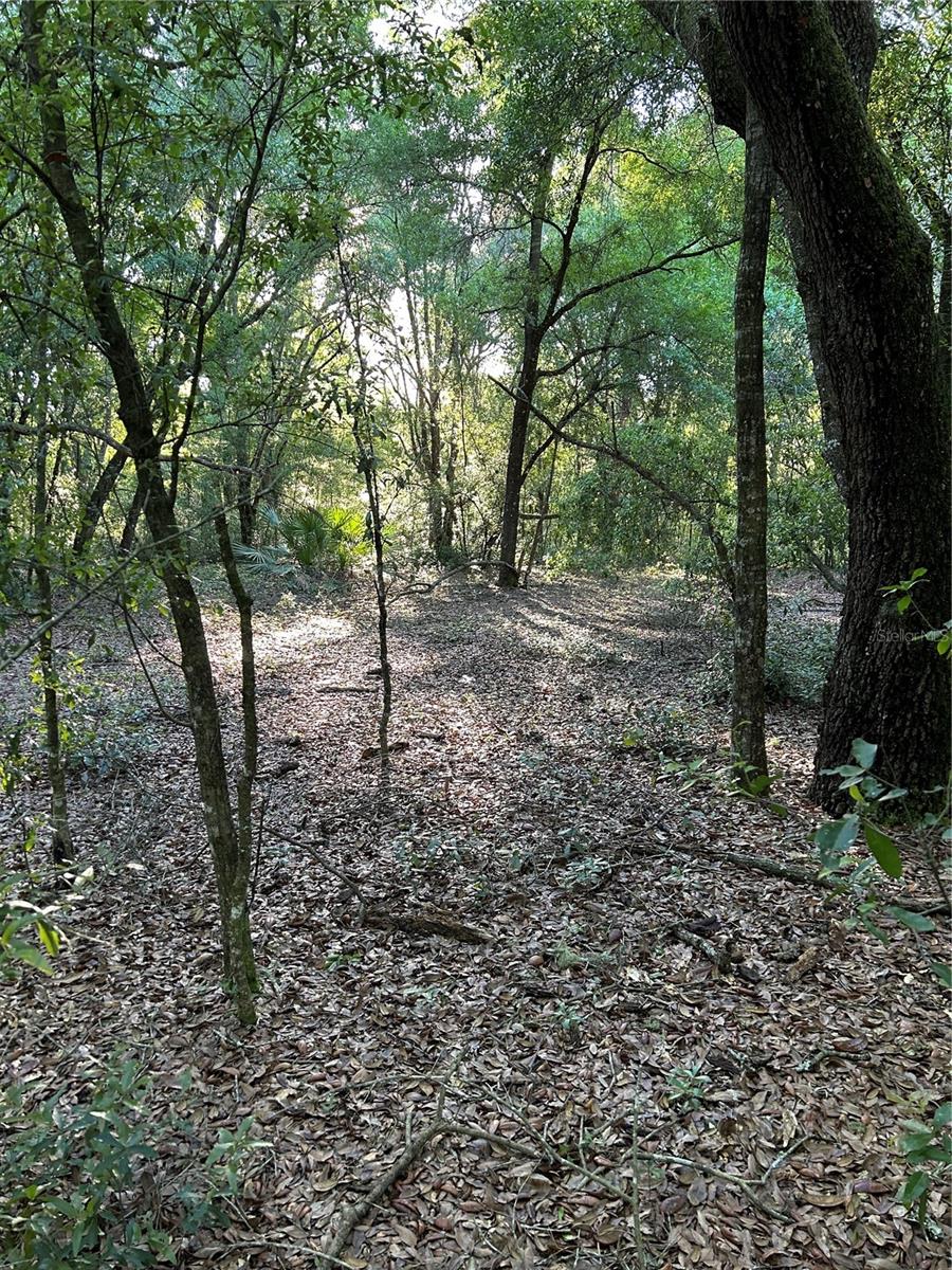 Sw Hwy 484 Property Photo 1