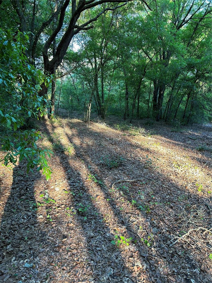 Sw Hwy 484 Property Photo 2