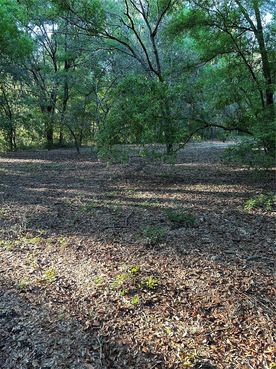 Sw Hwy 484 Property Photo 3