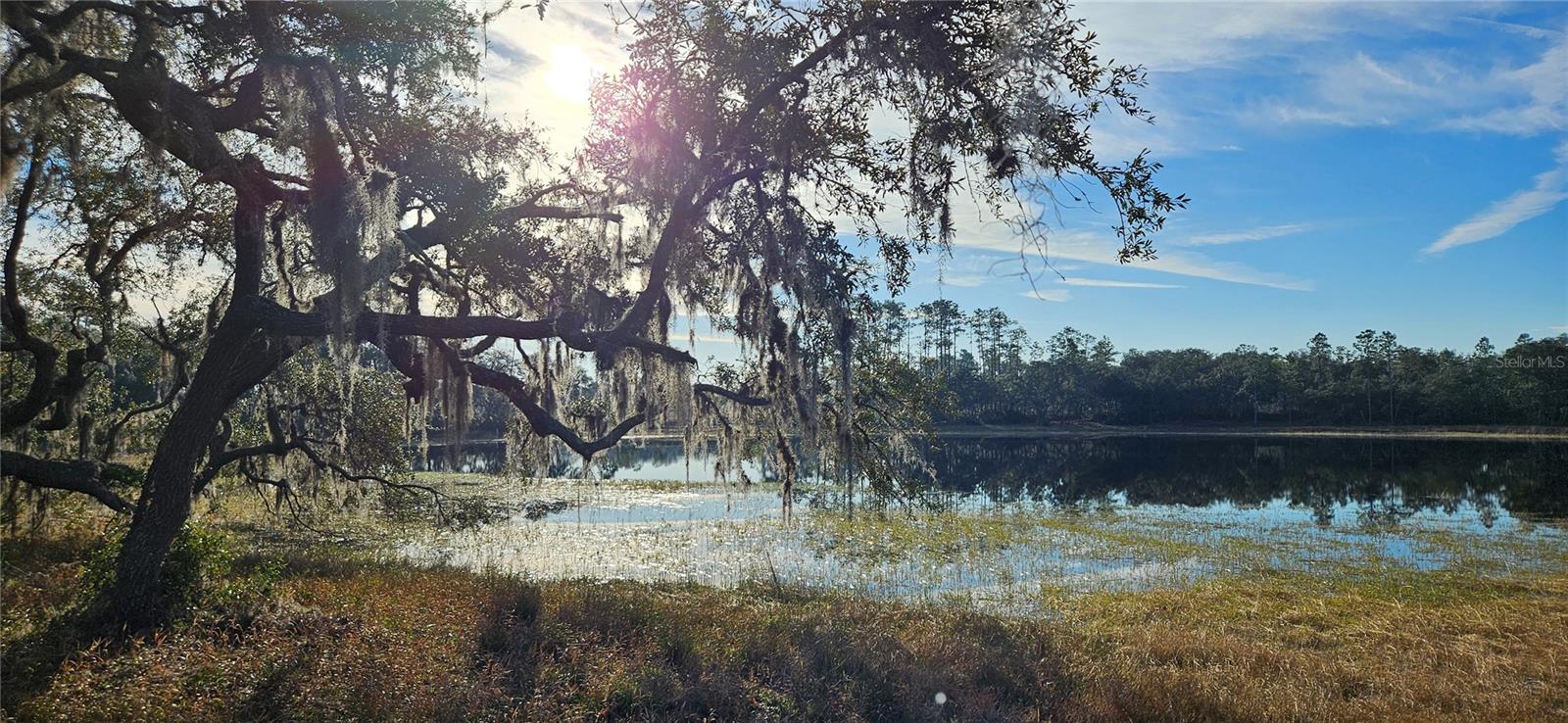 Lot 1 - 10.75ac E Hwy 318 Property Photo