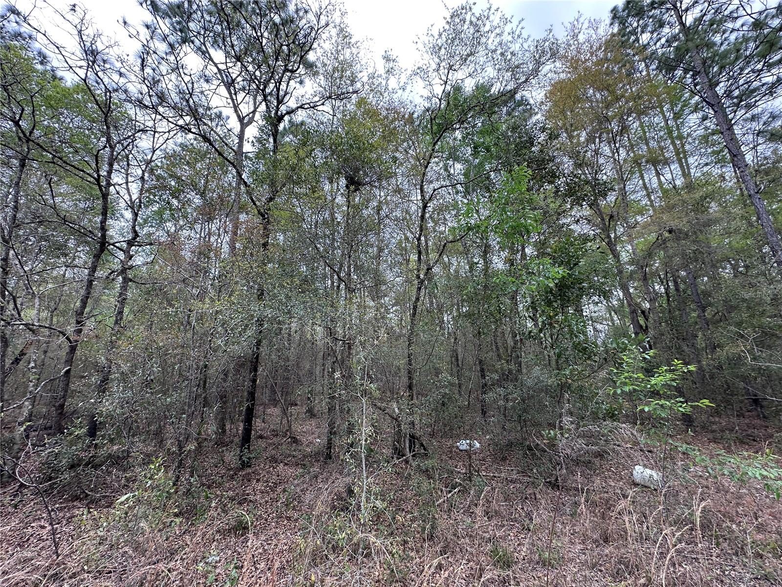 Tbd Ne 154th Ave Property Photo 2