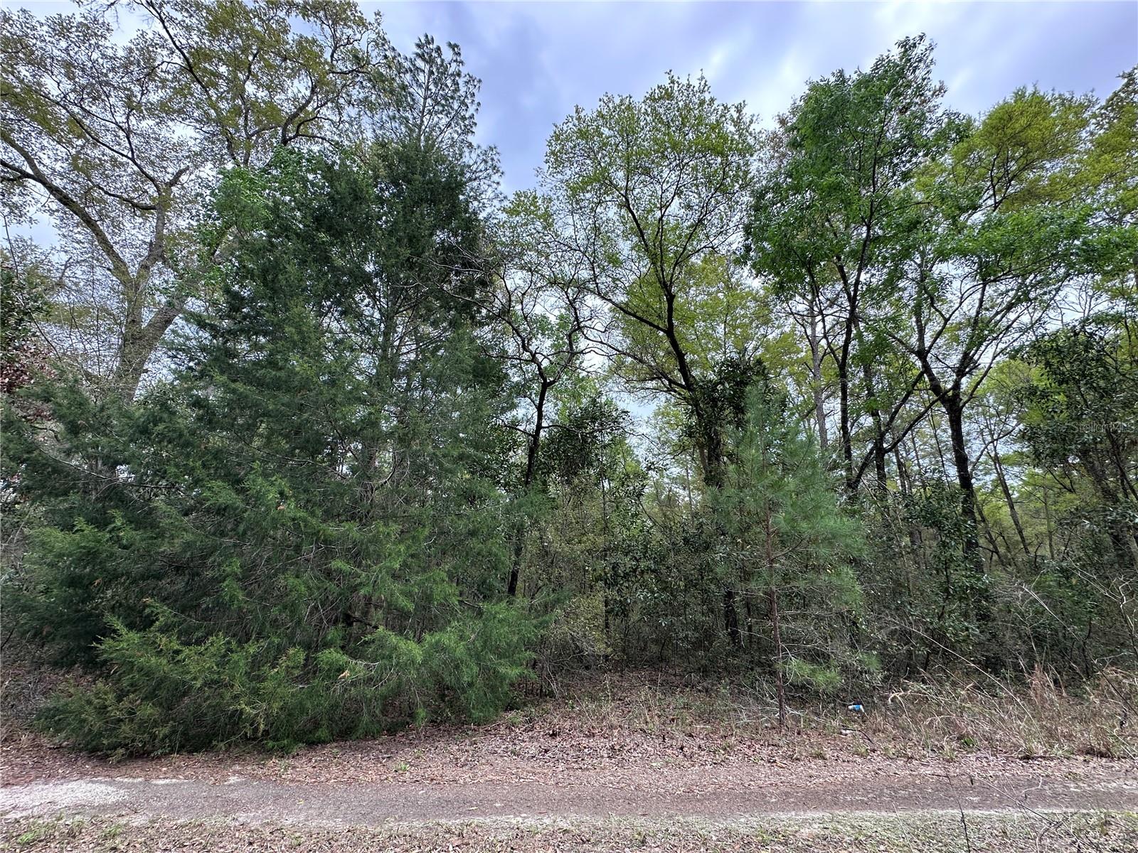 Tbd NE 154TH AVE Property Photo 1