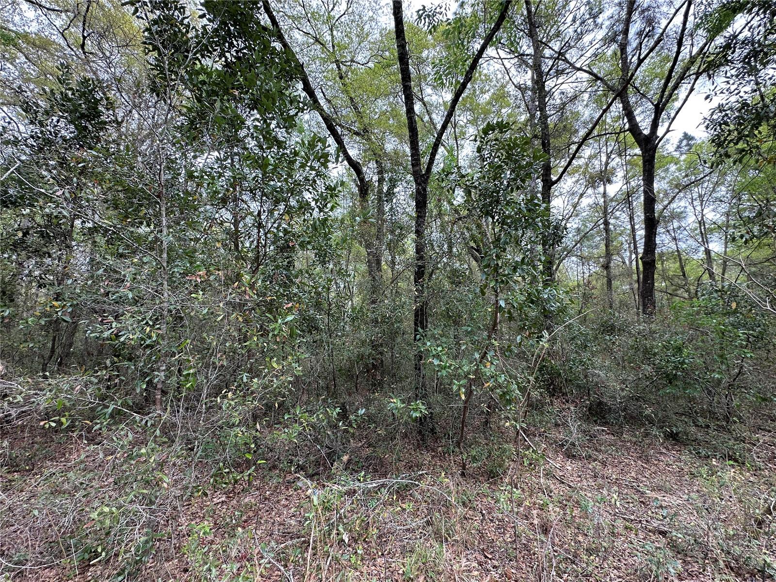 Tbd Ne 154th Ave Property Photo 4