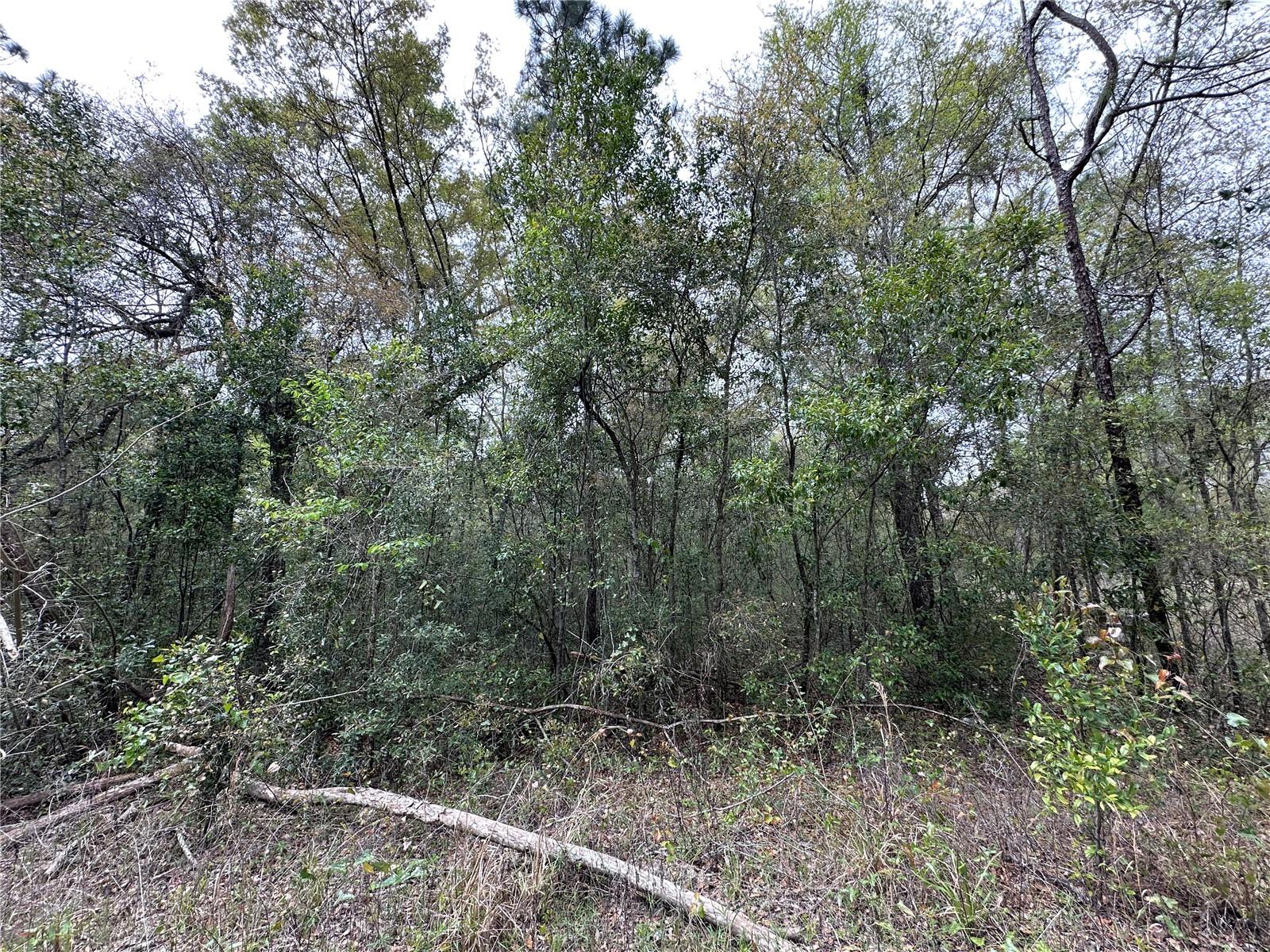 Tbd NE 154TH TER Property Photo 1
