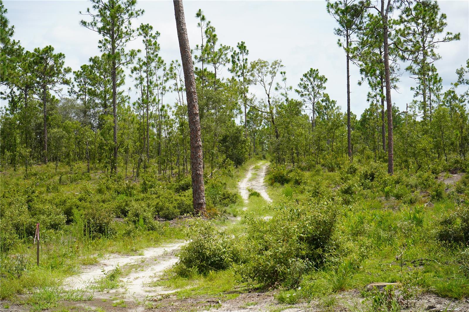 Se State Road 121 Lot A & B Property Photo 1