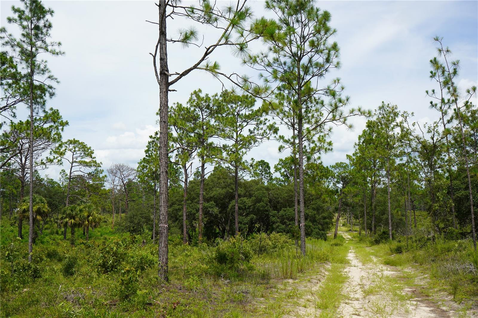 Se State Road 121 Lot A & B Property Photo 6