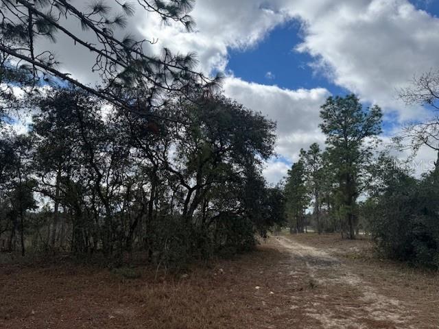 Se State Road 121 Lot A & B Property Photo 8