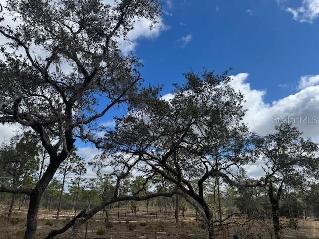 Se State Road 121 Lot A & B Property Photo 13