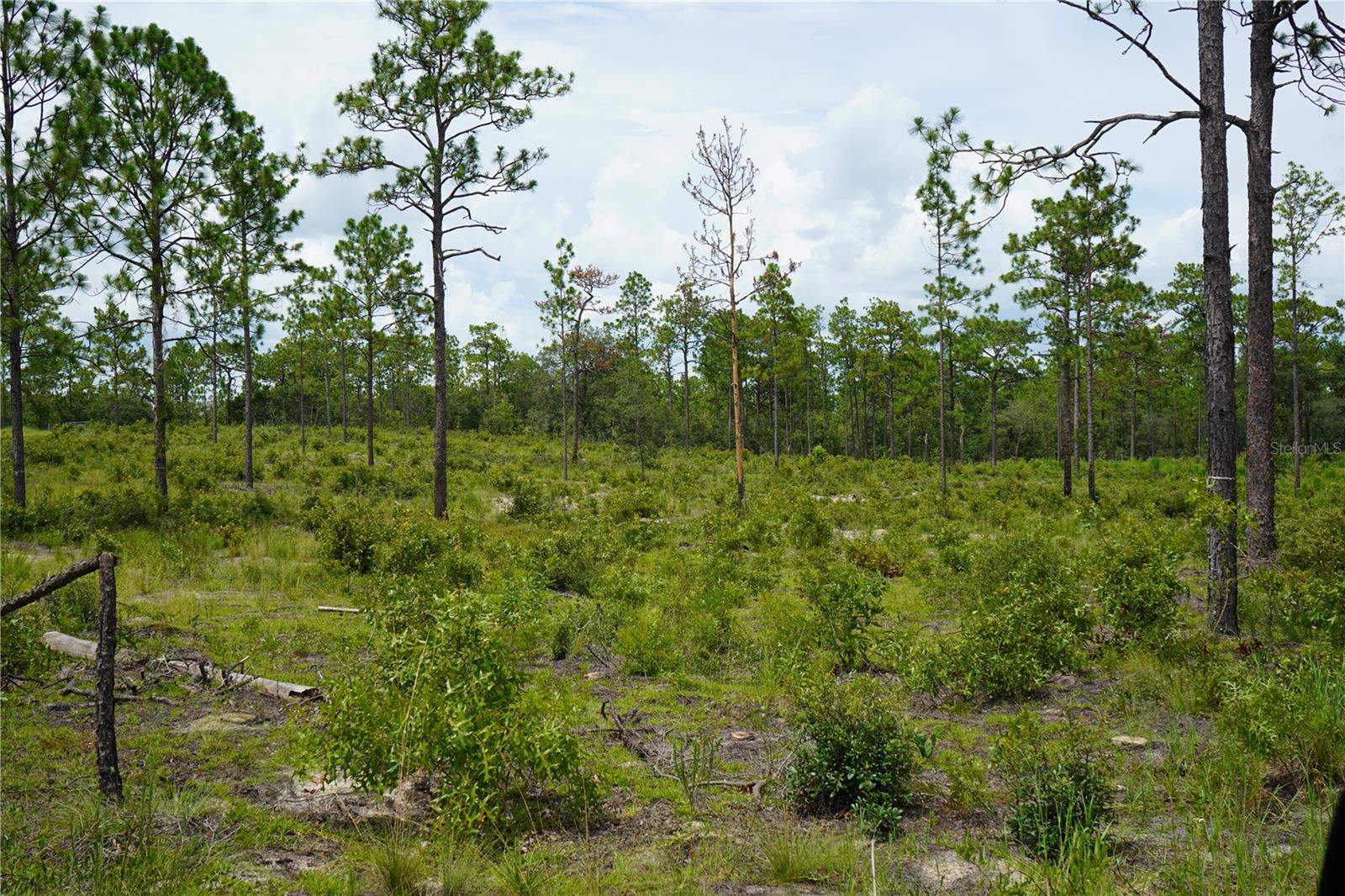 Se State Road 121 Lot A & B Property Photo 14