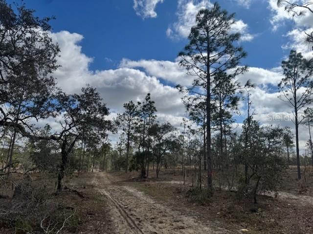 Se State Road 121 Lot A & B Property Photo 15