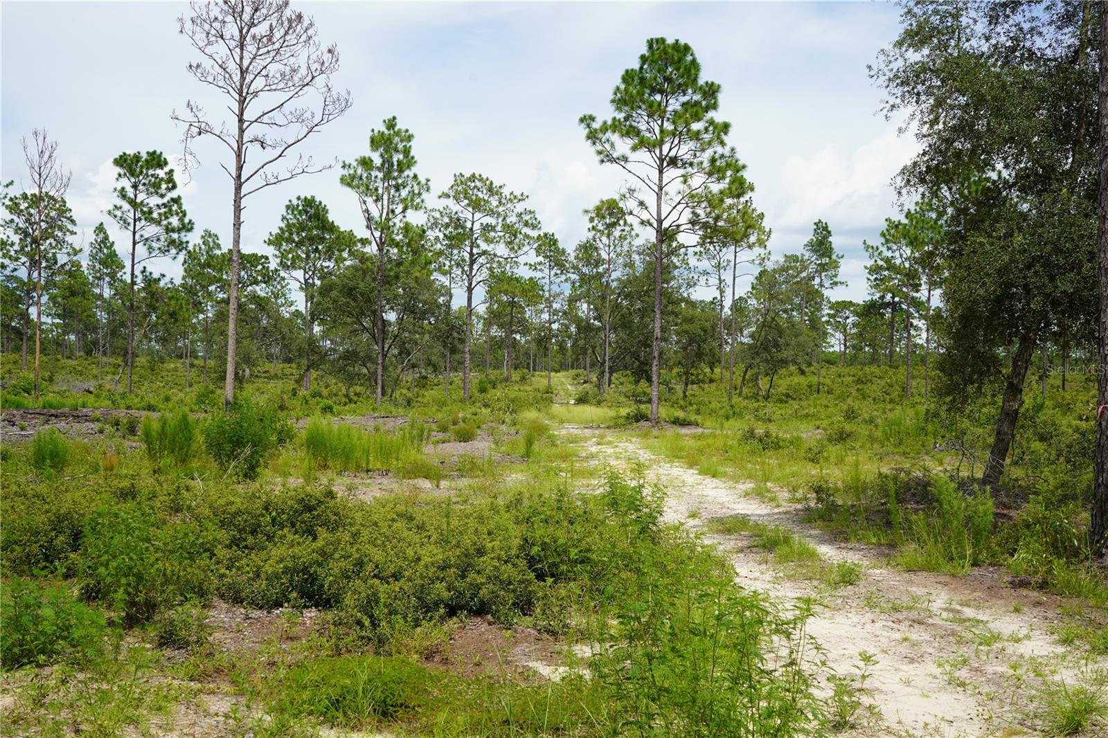 Se State Road 121 Lot A & B Property Photo 16