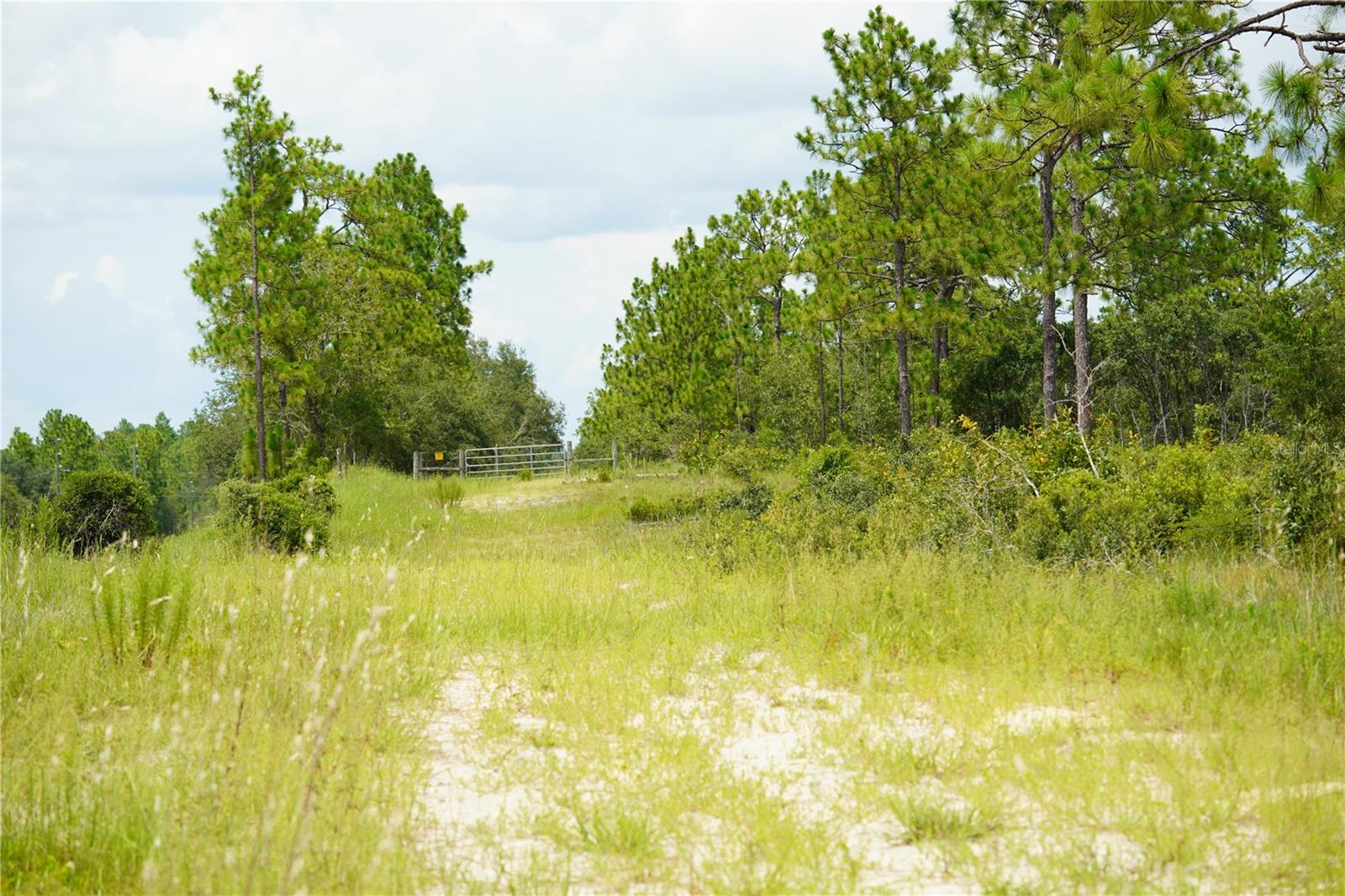 Se State Road 121 Lot C & D Property Photo 4