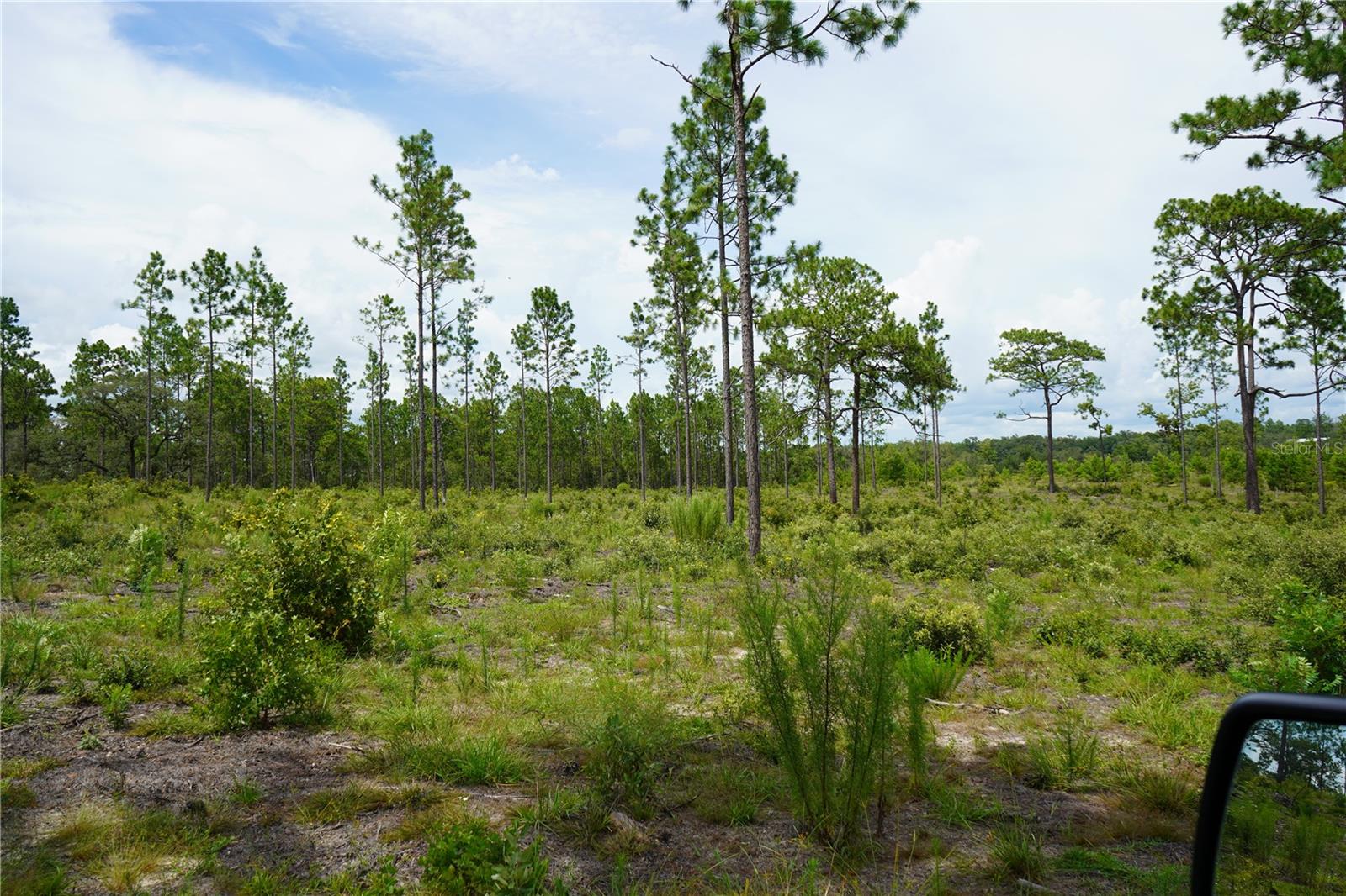 Se State Road 121 Lot C & D Property Photo 13