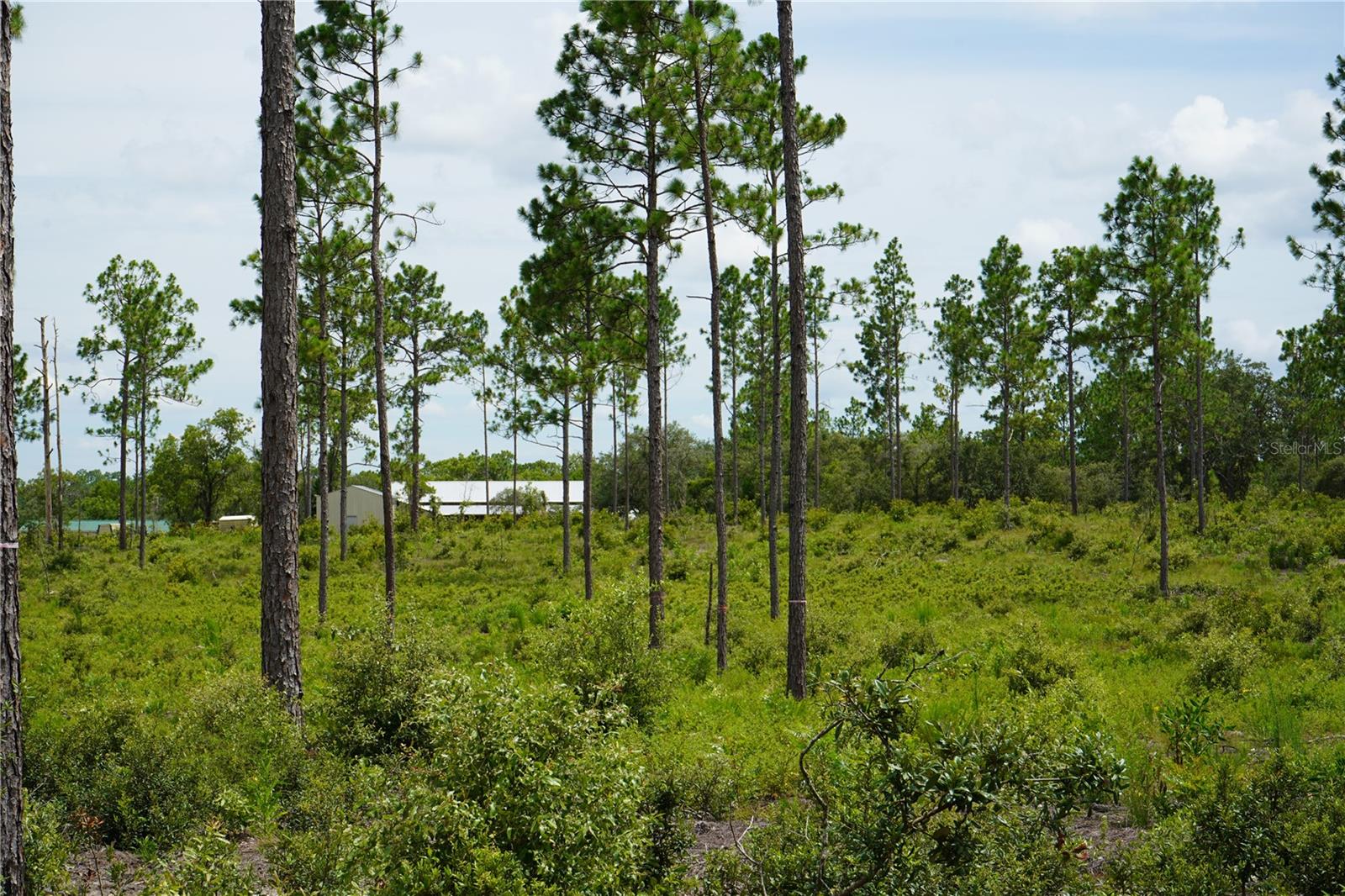 Se State Road 121 Lot C & D Property Photo 15