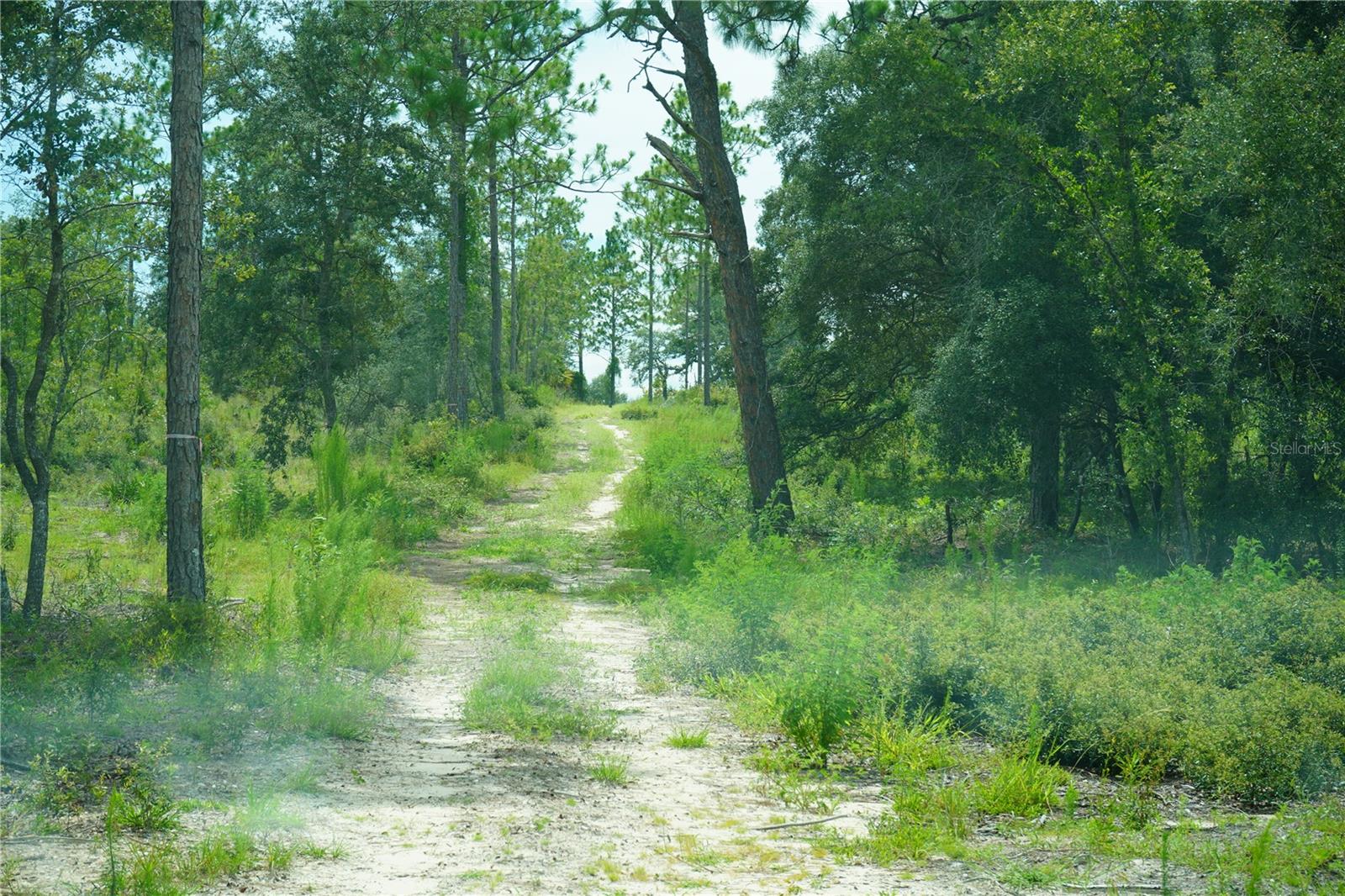 Se State Road 121 Lot C & D Property Photo 20