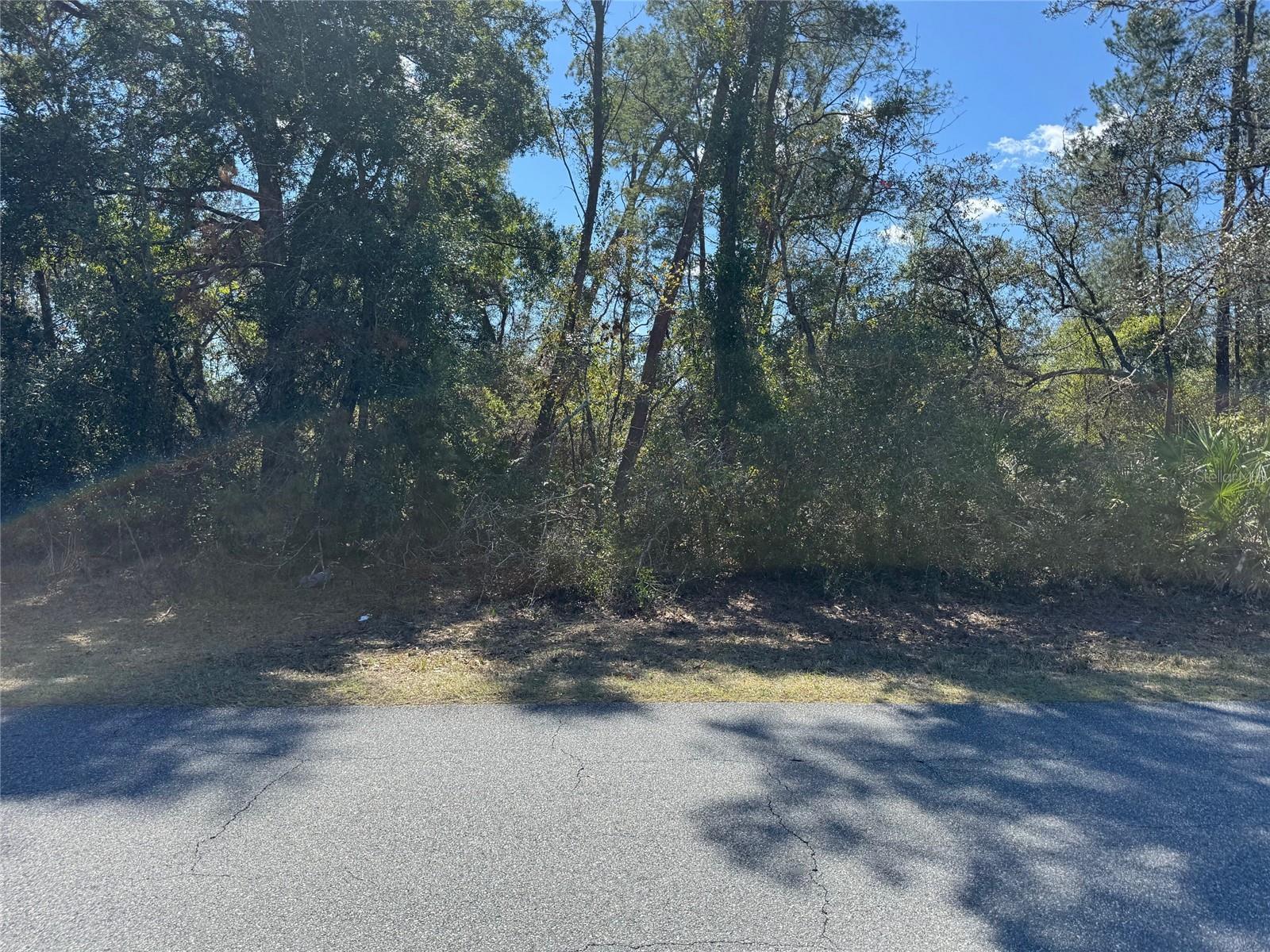 Lot 14 Sw 139th Street Road Property Photo 1