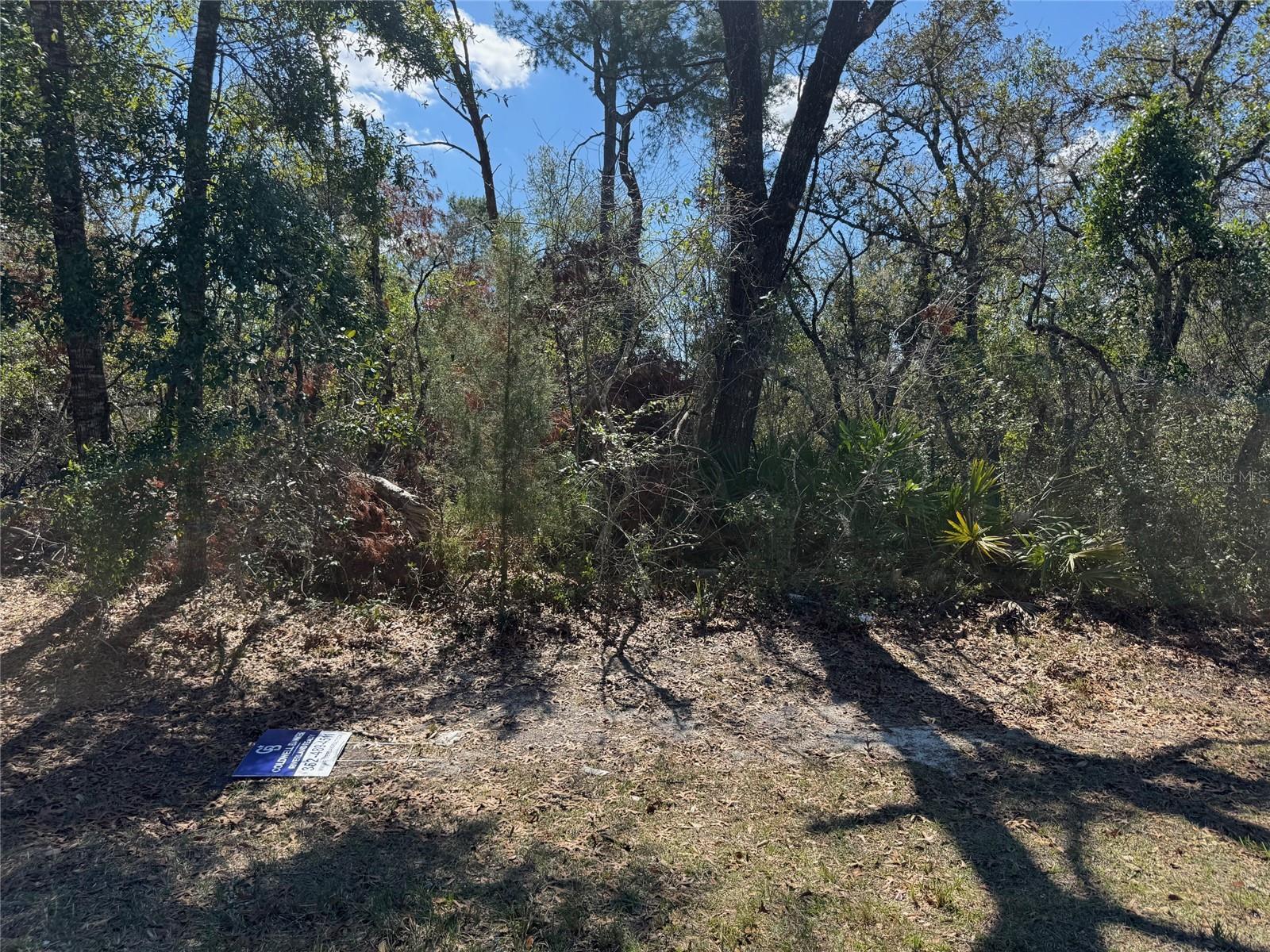 Lot 15 Sw 139th Street Road Property Photo 1