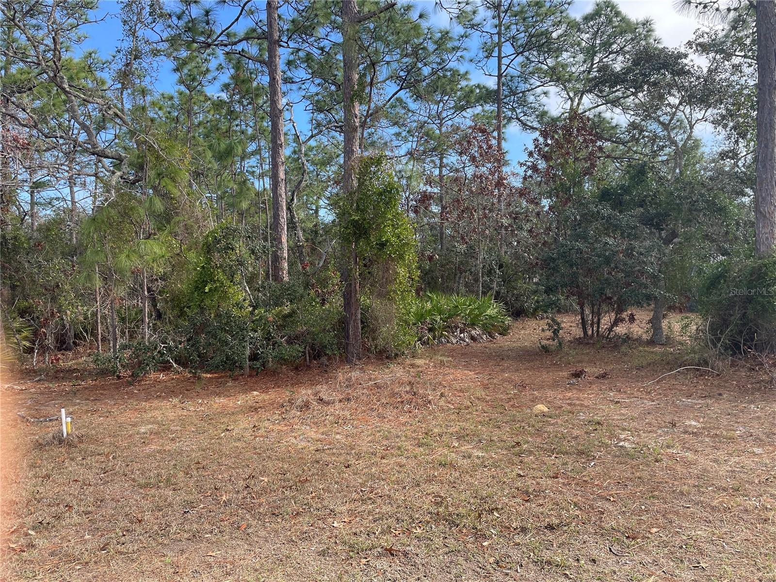1811 S Gleneagle Ter Property Photo