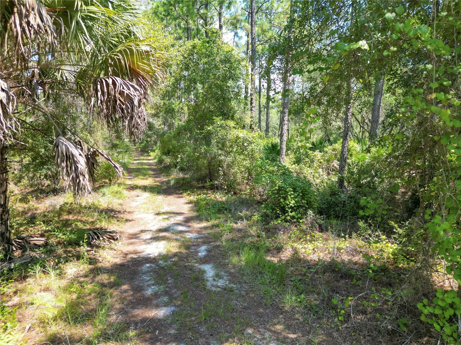 313 Tall Pine Trl Property Photo