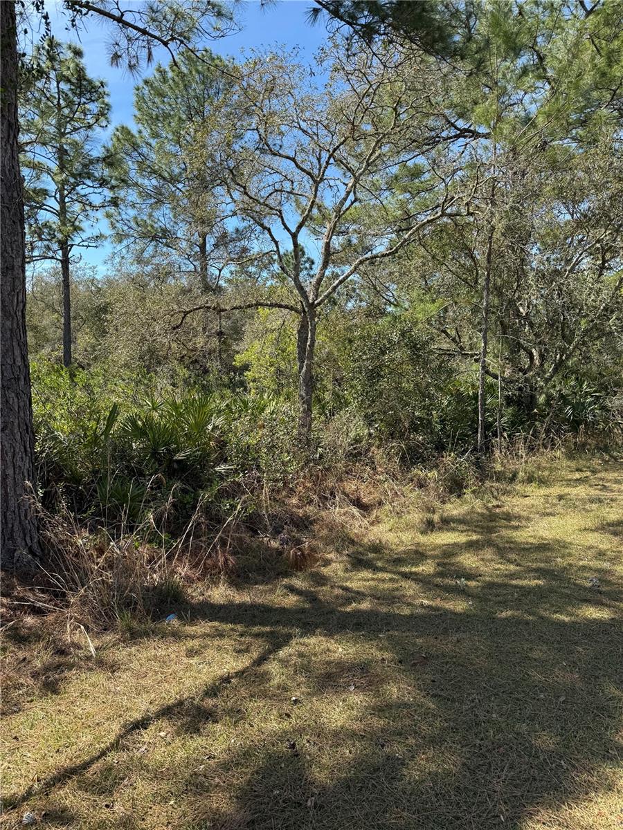Kumquat Ave Property Photo