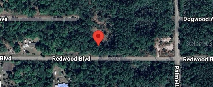 324 Redwood Blvd Property Photo 2