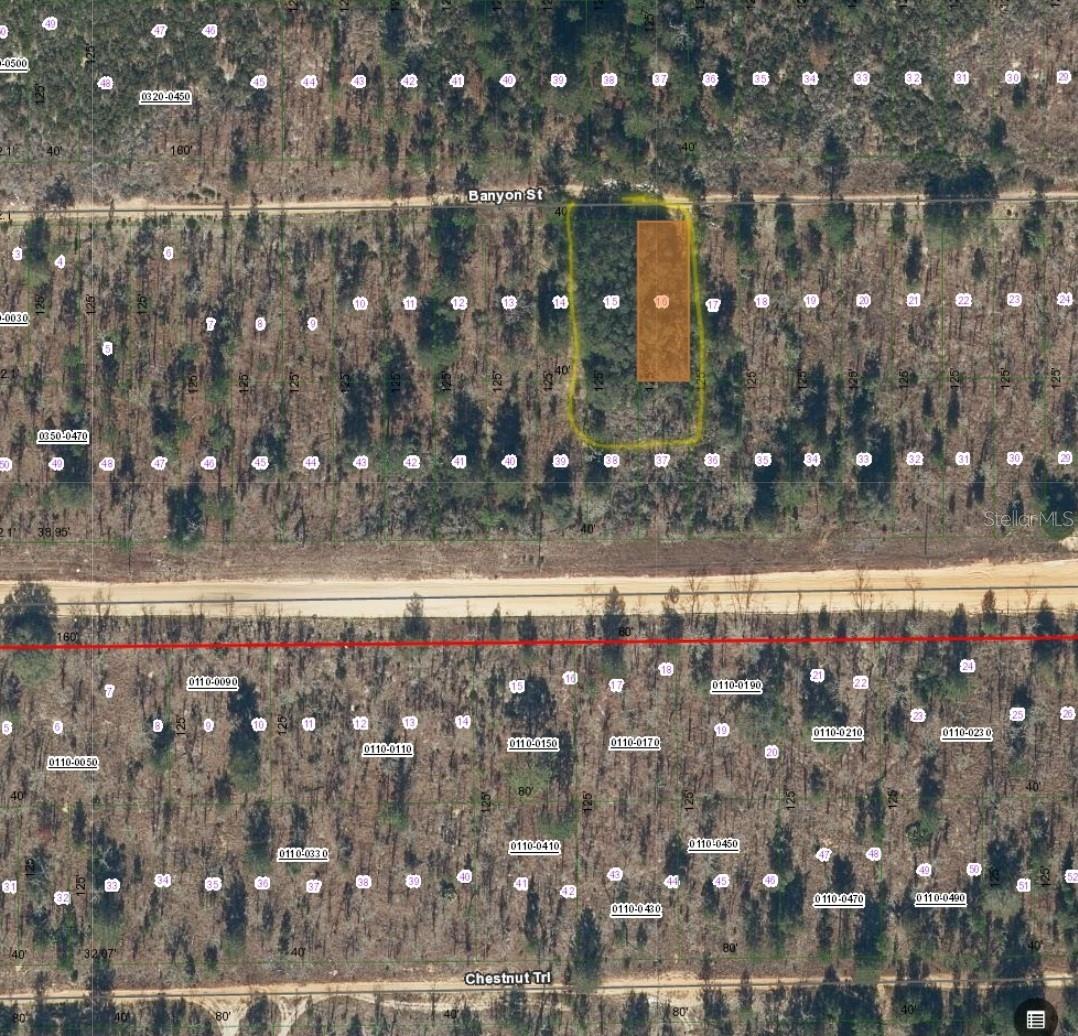 TBD BANYAN STREET Property Photo 1