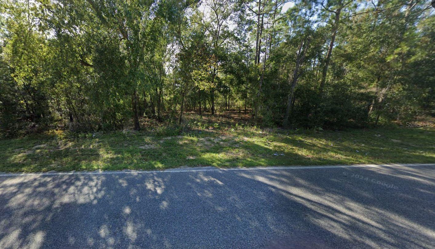 465 Baden Powell Rd Property Photo 3