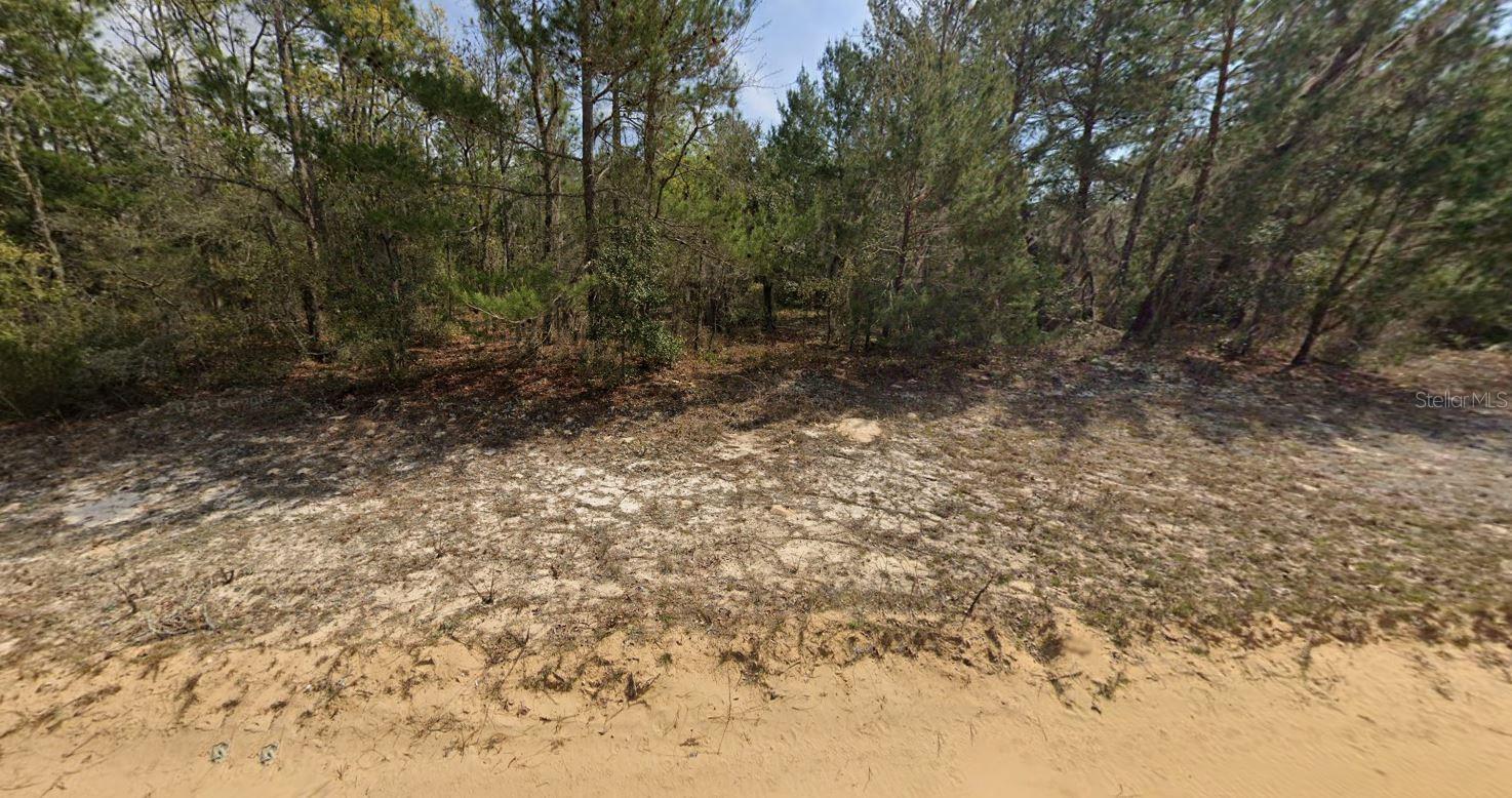 O Farrel Ave Property Photo 3