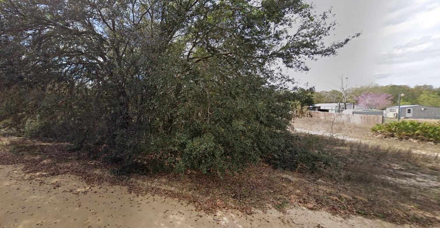 821 Kitty Ave Property Photo 3