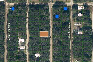 ANNETTE Property Photo 1