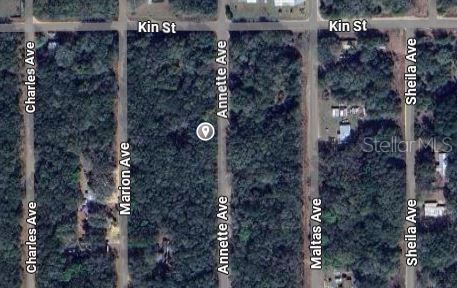 Annette Ave Property Photo 2