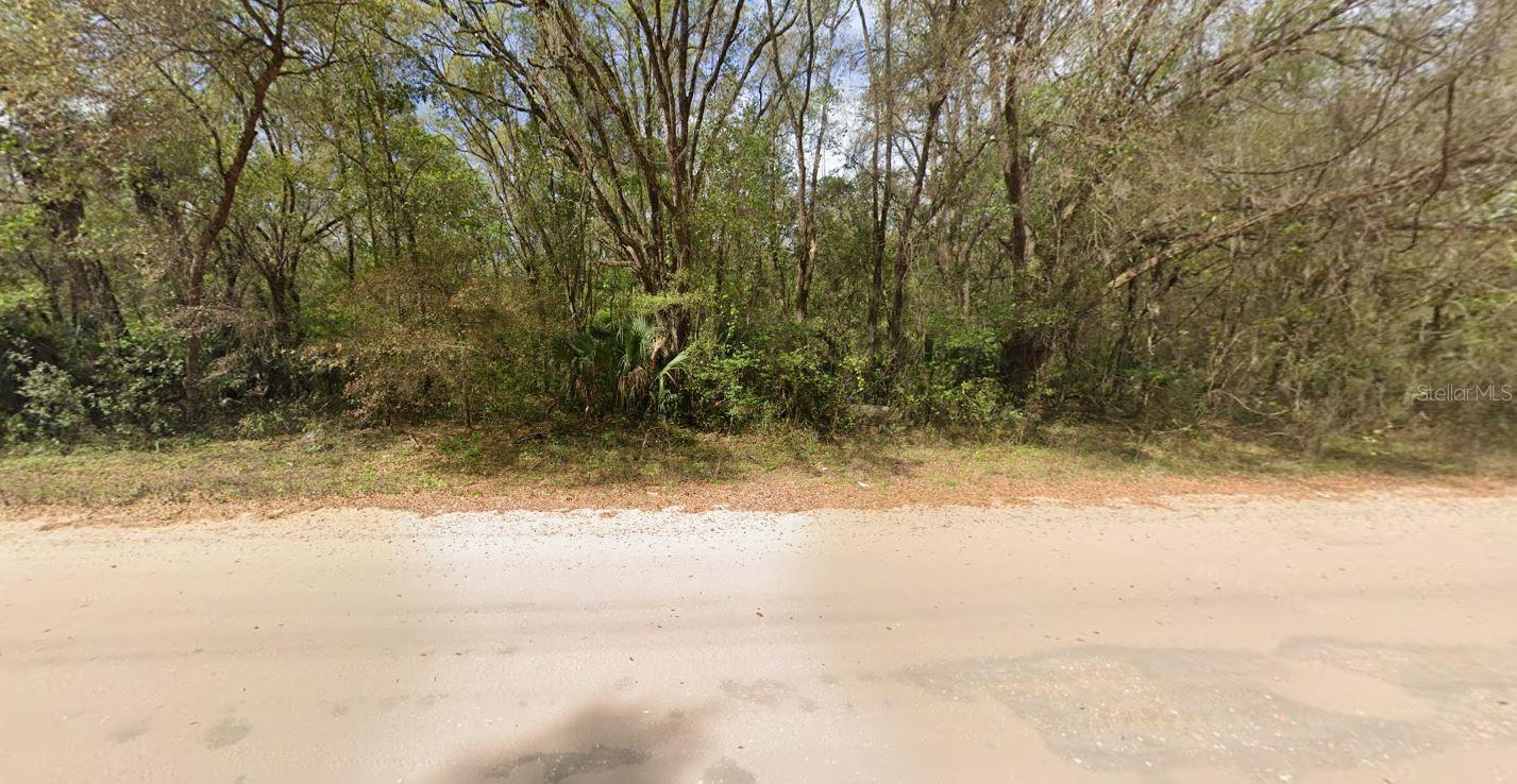 Annette Ave Property Photo 3