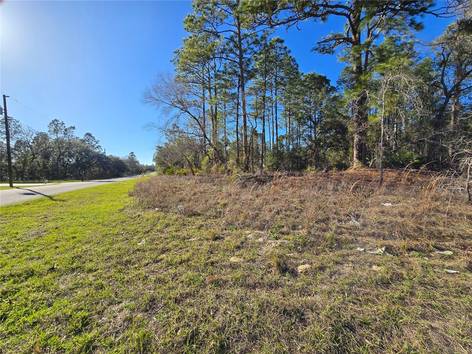 6434 N Baylor Ter Property Photo