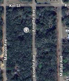 Annette Ave Property Photo 2