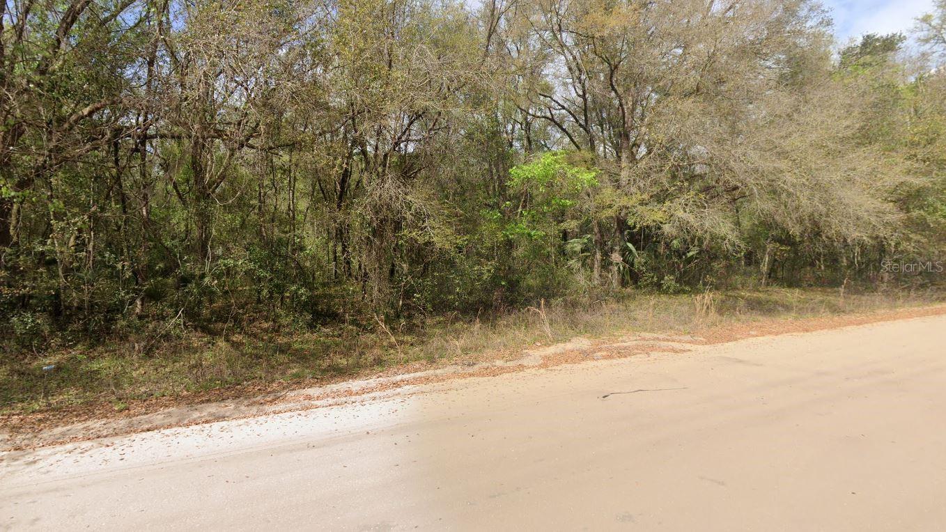 Annette Ave Property Photo 3