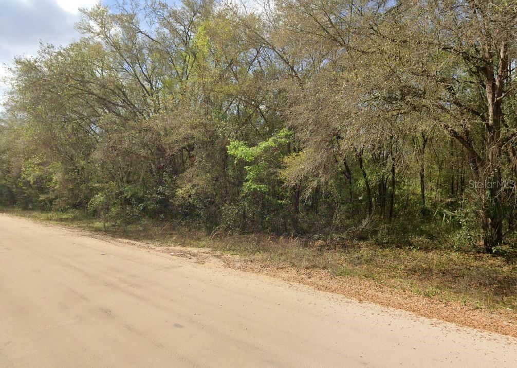 Annette Ave Property Photo 4