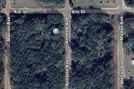 Annette Ave Property Photo 2