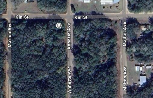 Annette Ave Property Photo 2