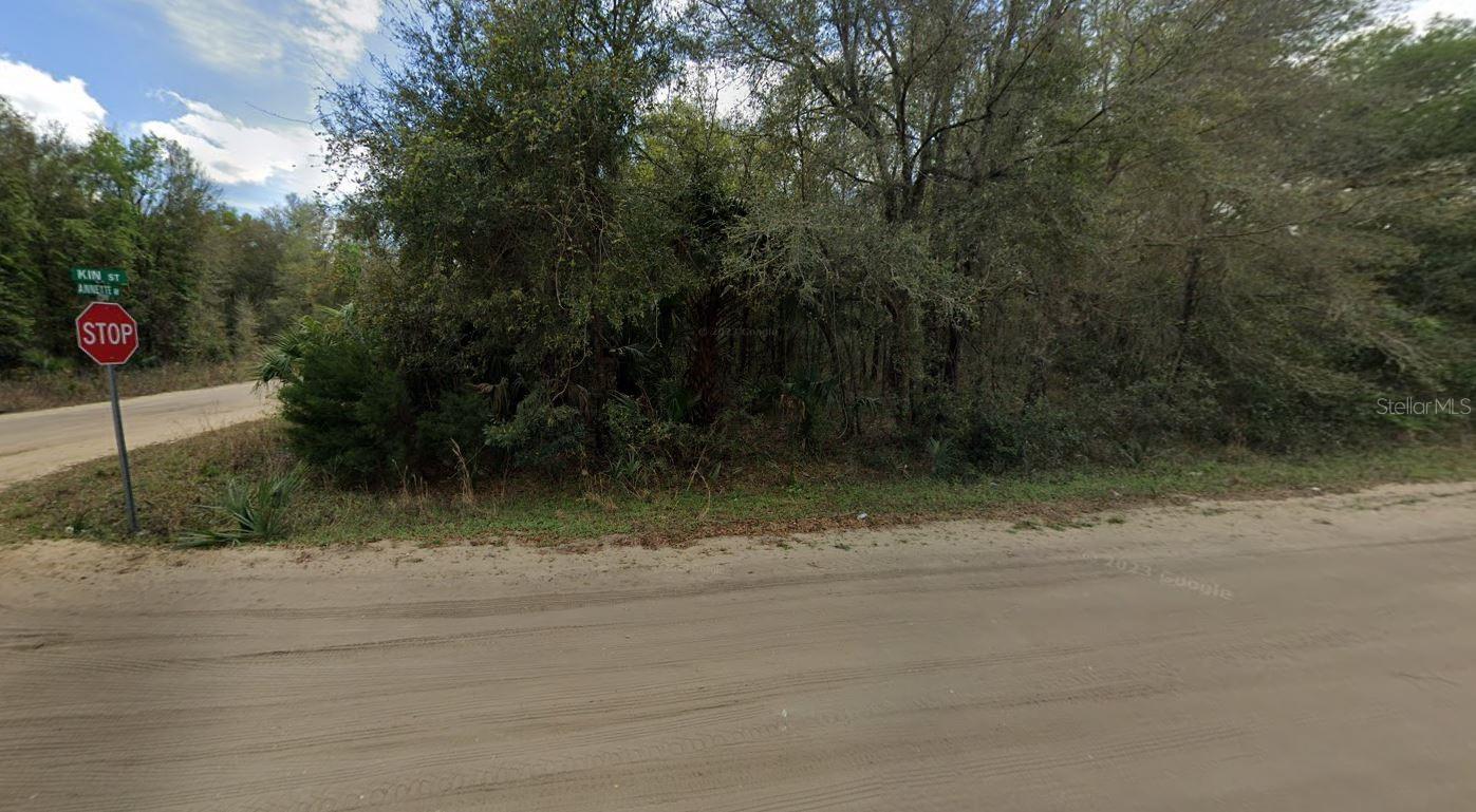 Annette Ave Property Photo 4
